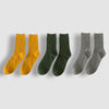 Lot de 3 paires de Chaussettes en Coton