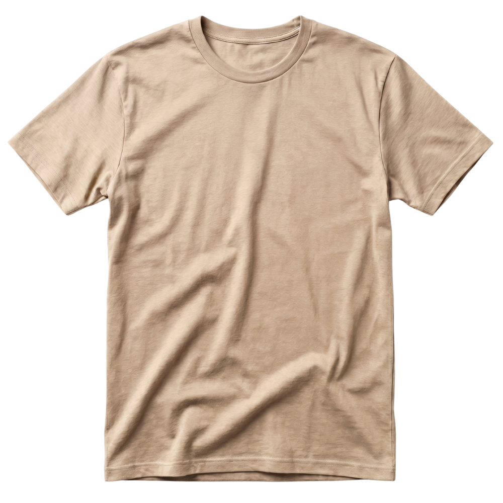 T Shirt Homme Vintage Délavé