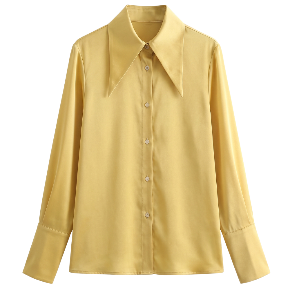 Chemise Grand Col Vintage