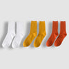Lot de 3 paires de Chaussettes en Coton