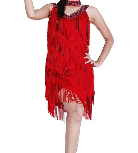 20s Flapper Dress